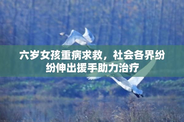 六岁女孩重病求救，社会各界纷纷伸出援手助力治疗