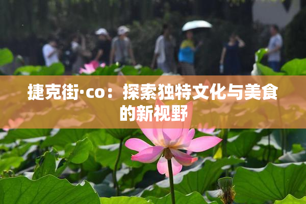 捷克街·co：探索独特文化与美食的新视野