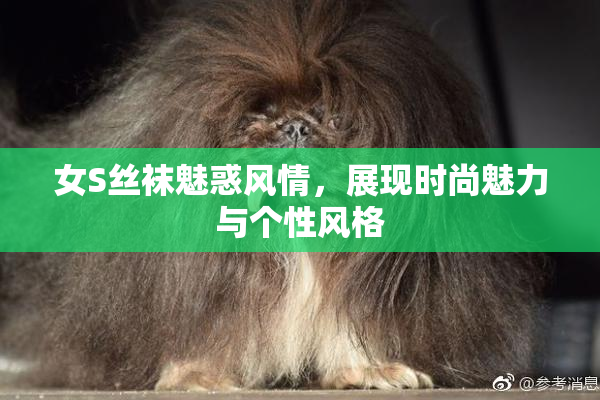 女S丝袜魅惑风情，展现时尚魅力与个性风格