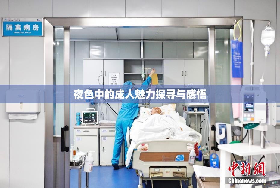夜色中的成人魅力探寻与感悟