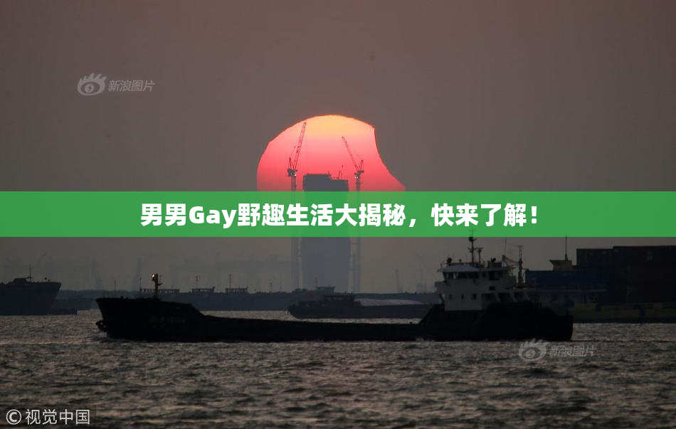 男男Gay野趣生活大揭秘，快来了解！