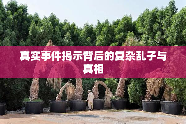 真实事件揭示背后的复杂乱子与真相