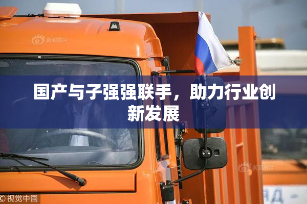 国产与子强强联手，助力行业创新发展