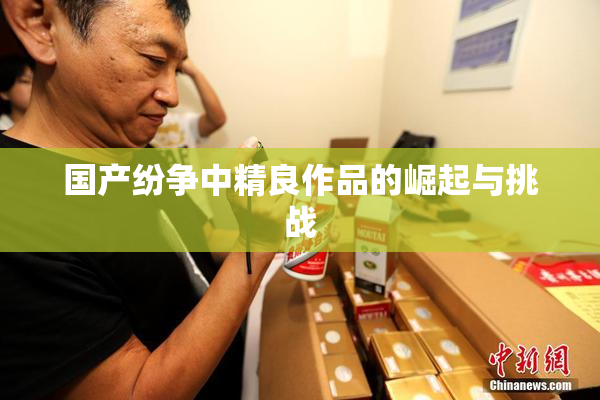 国产纷争中精良作品的崛起与挑战