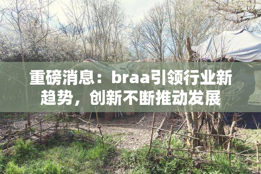 重磅消息：braa引领行业新趋势，创新不断推动发展