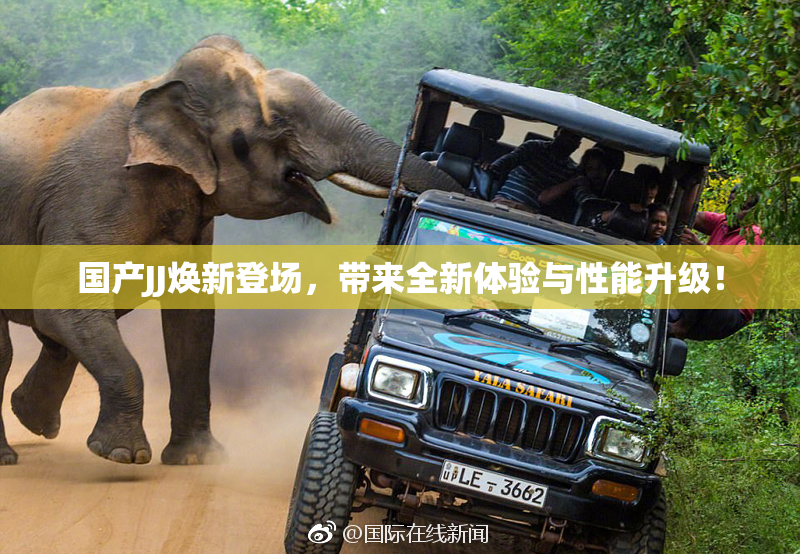 国产JJ焕新登场，带来全新体验与性能升级！