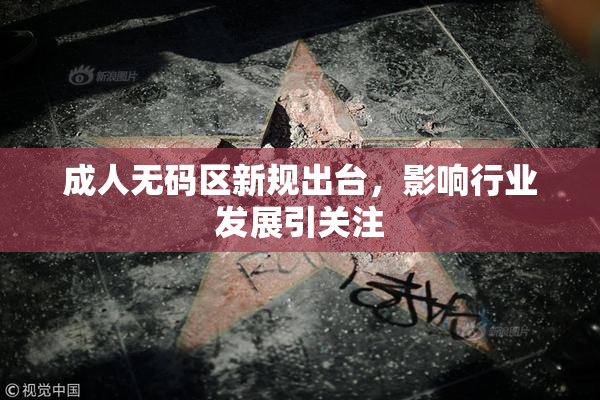 成人无码区新规出台，影响行业发展引关注