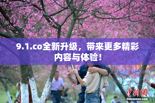 9.1.co全新升级，带来更多精彩内容与体验！