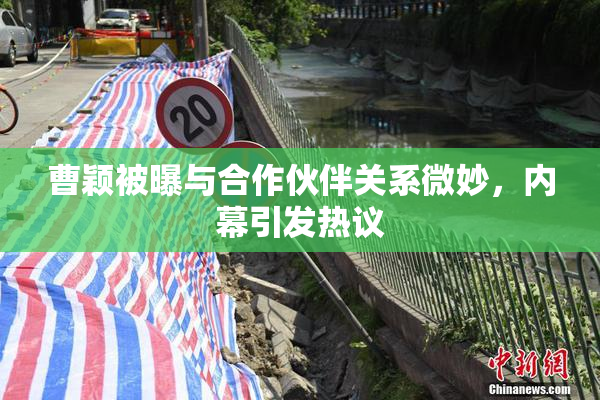 曹颖被曝与合作伙伴关系微妙，内幕引发热议