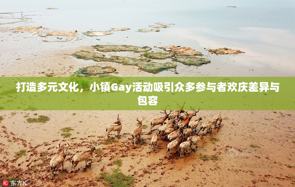 打造多元文化，小镇Gay活动吸引众多参与者欢庆差异与包容
