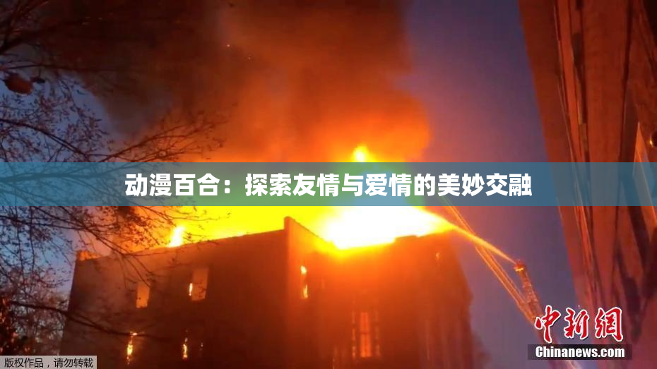 动漫百合：探索友情与爱情的美妙交融
