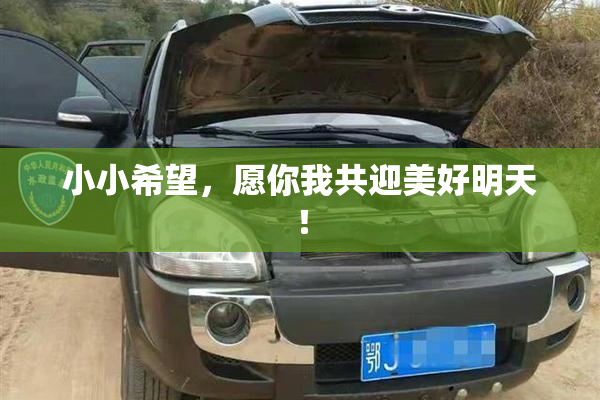 小小希望，愿你我共迎美好明天！