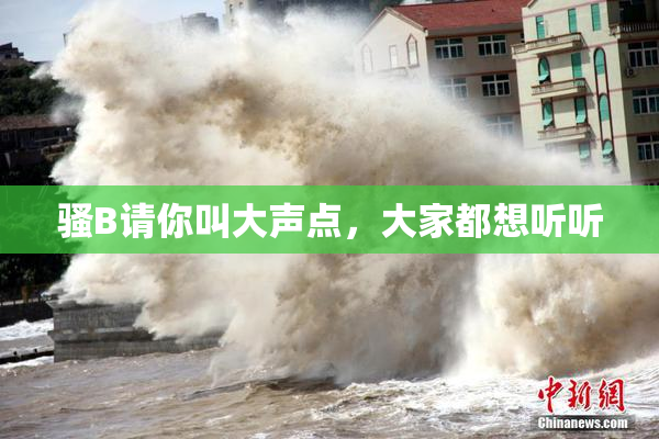 骚B请你叫大声点，大家都想听听