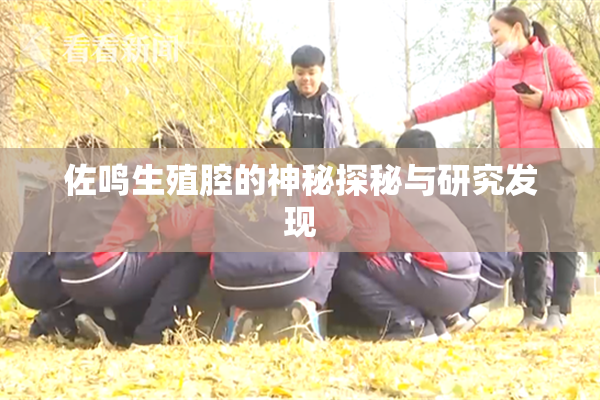 佐鸣生殖腔的神秘探秘与研究发现