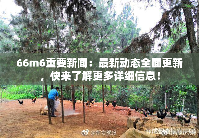 66m6重要新闻：最新动态全面更新，快来了解更多详细信息！