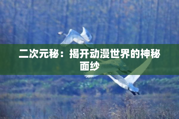 二次元秘：揭开动漫世界的神秘面纱