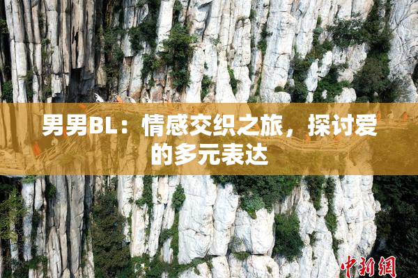 男男BL：情感交织之旅，探讨爱的多元表达