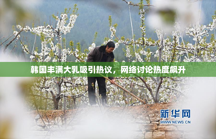 韩国丰满大乳吸引热议，网络讨论热度飙升