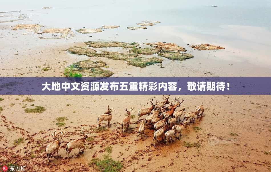 大地中文资源发布五重精彩内容，敬请期待！