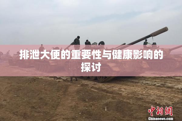 排泄大便的重要性与健康影响的探讨