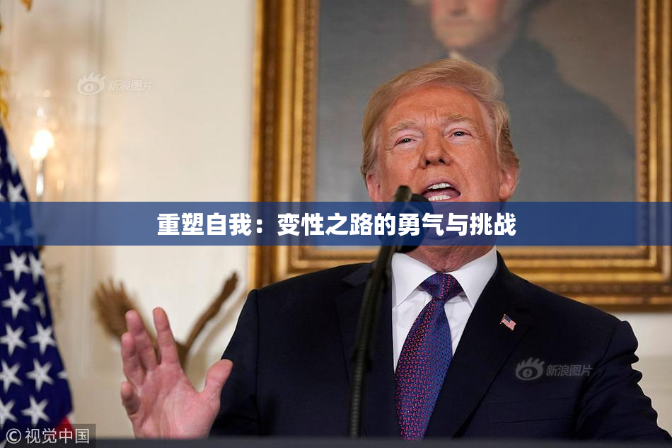 重塑自我：变性之路的勇气与挑战