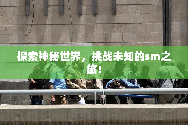 探索神秘世界，挑战未知的sm之旅！