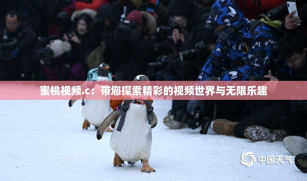 蜜桃视频.c：带您探索精彩的视频世界与无限乐趣