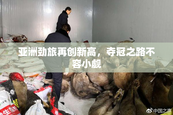 亚洲劲旅再创新高，夺冠之路不容小觑
