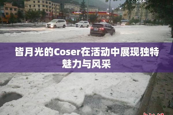 皆月光的Coser在活动中展现独特魅力与风采