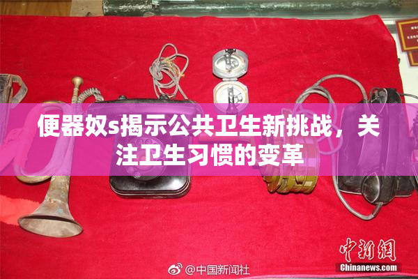 便器奴s揭示公共卫生新挑战，关注卫生习惯的变革