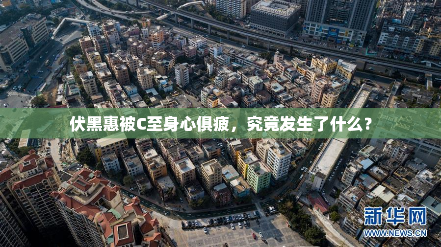 伏黑惠被C至身心俱疲，究竟发生了什么？