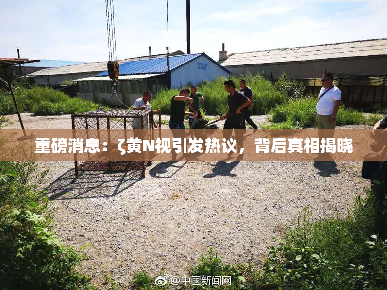 重磅消息：ζ黄Ν视引发热议，背后真相揭晓