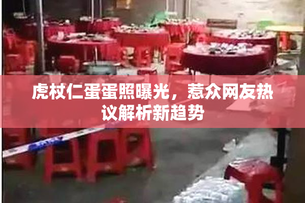 虎杖仁蛋蛋照曝光，惹众网友热议解析新趋势