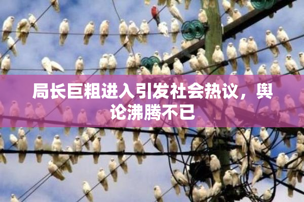 局长巨粗进入引发社会热议，舆论沸腾不已
