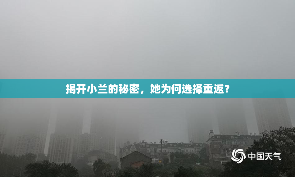 揭开小兰的秘密，她为何选择重返？