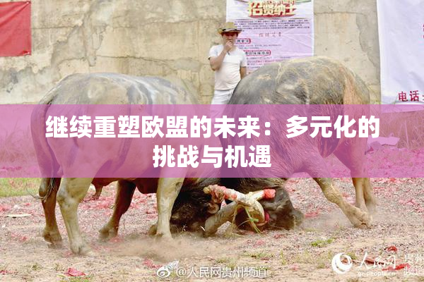 继续重塑欧盟的未来：多元化的挑战与机遇