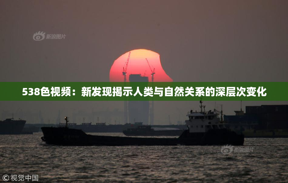 538色视频：新发现揭示人类与自然关系的深层次变化