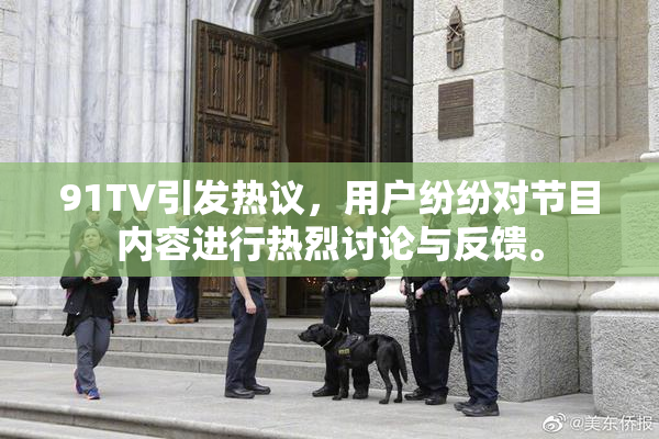 91TV引发热议，用户纷纷对节目内容进行热烈讨论与反馈。