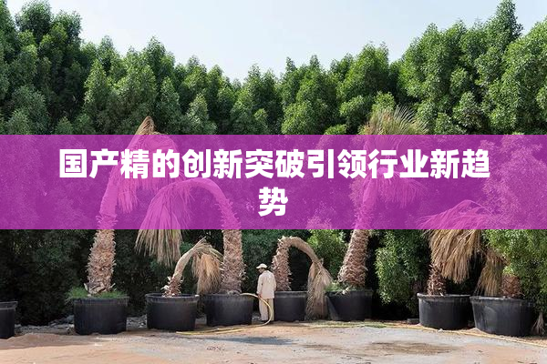 国产精的创新突破引领行业新趋势