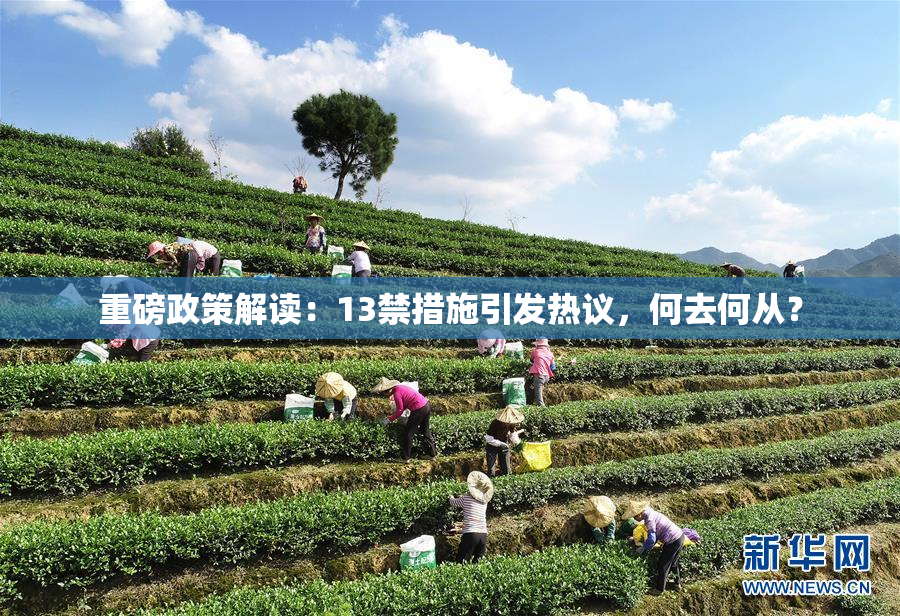 重磅政策解读：13禁措施引发热议，何去何从？