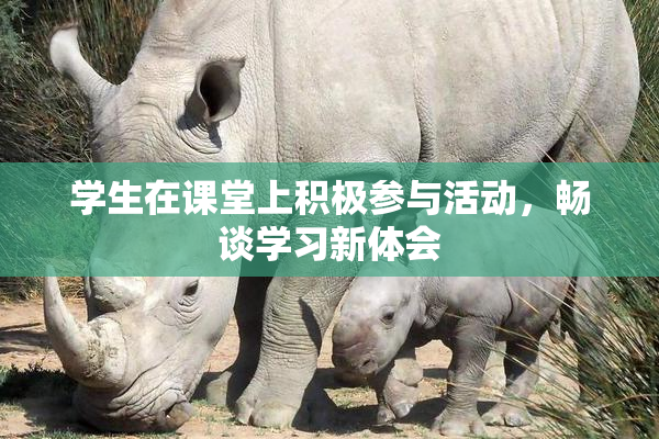 学生在课堂上积极参与活动，畅谈学习新体会