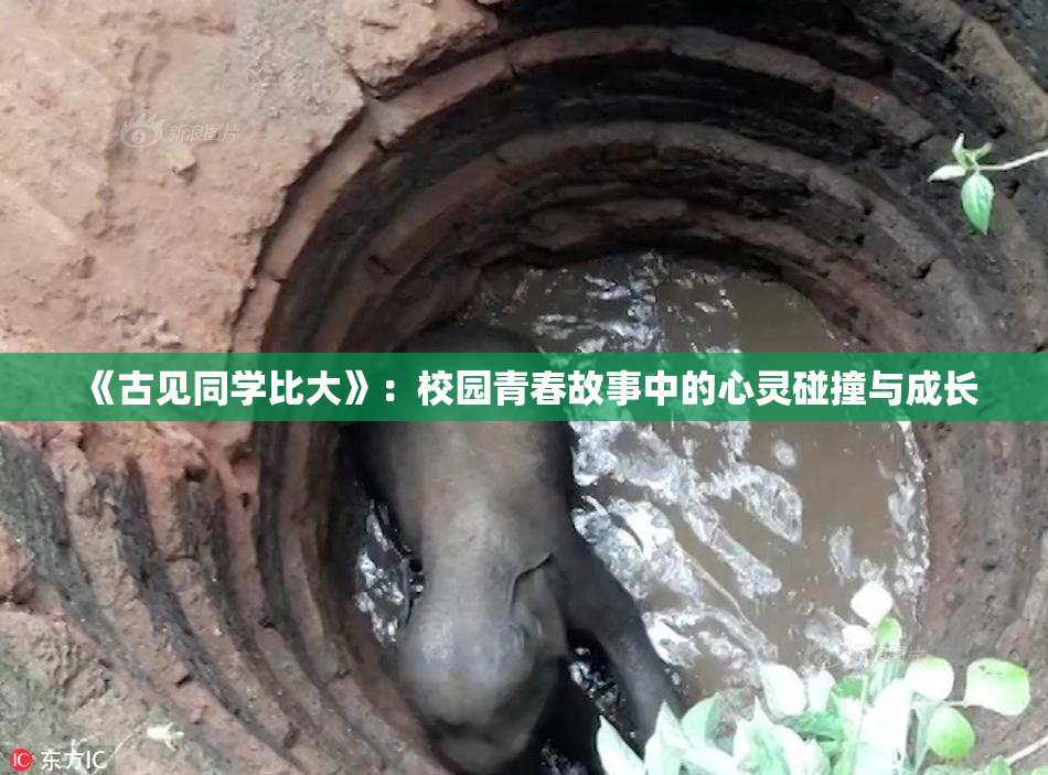 《古见同学比大》：校园青春故事中的心灵碰撞与成长