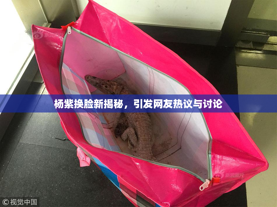 杨紫换脸新揭秘，引发网友热议与讨论
