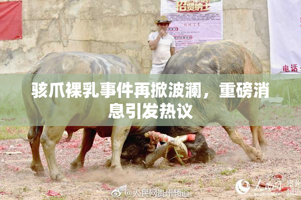 骇爪裸乳事件再掀波澜，重磅消息引发热议