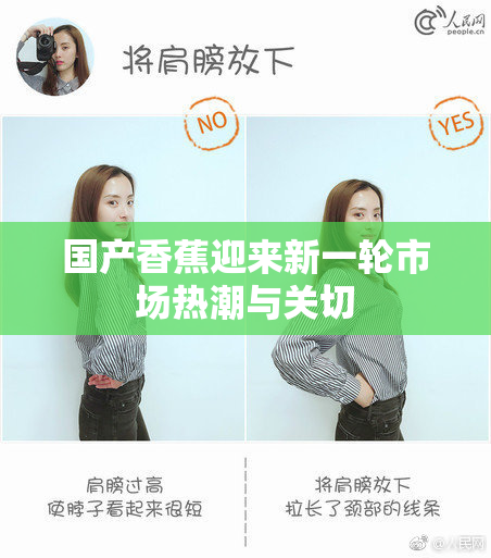 国产香蕉迎来新一轮市场热潮与关切