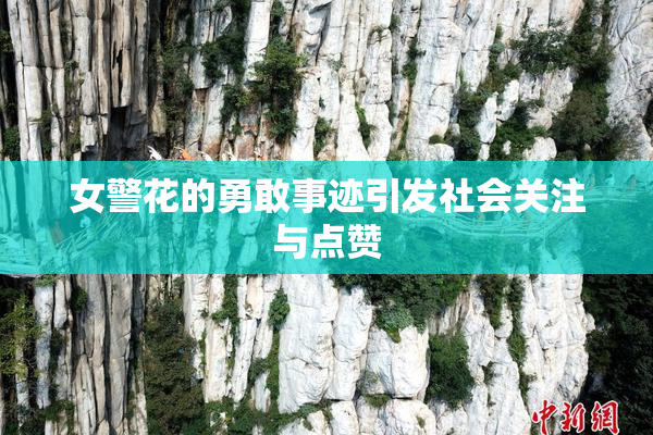 女警花的勇敢事迹引发社会关注与点赞