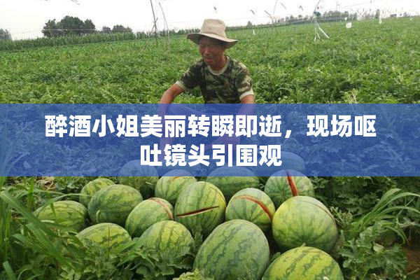 醉酒小姐美丽转瞬即逝，现场呕吐镜头引围观
