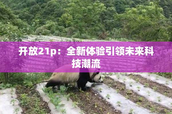 开放21p：全新体验引领未来科技潮流
