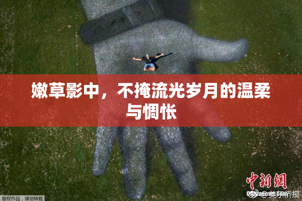 嫩草影中，不掩流光岁月的温柔与惆怅