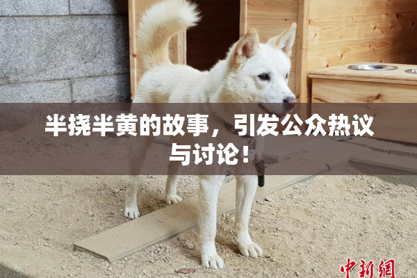 半挠半黄的故事，引发公众热议与讨论！